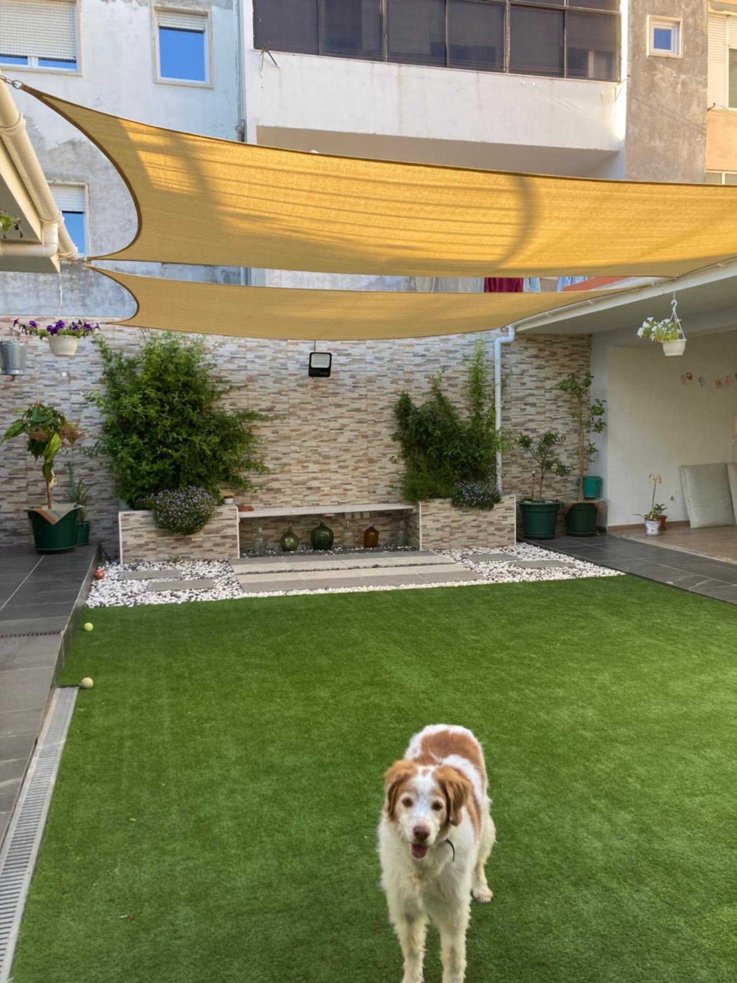 Casanossa Daire Setúbal Dış mekan fotoğraf